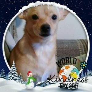 Meet your Posher, Charlotte